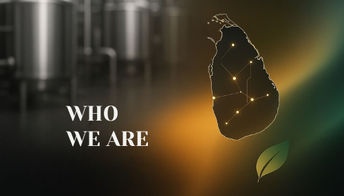 Who We Are