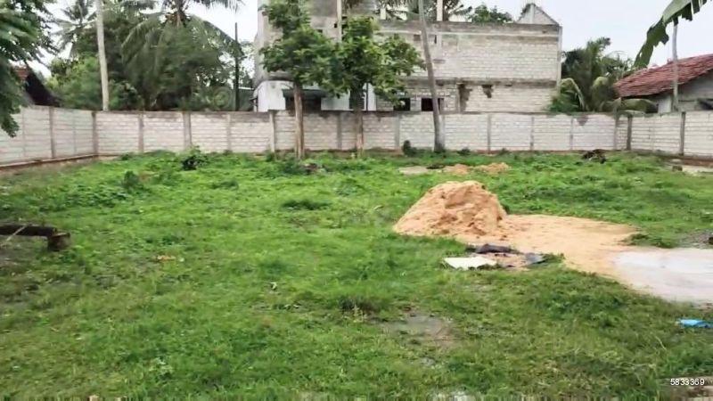 45 Perch Bare Land For Sale In Negombo