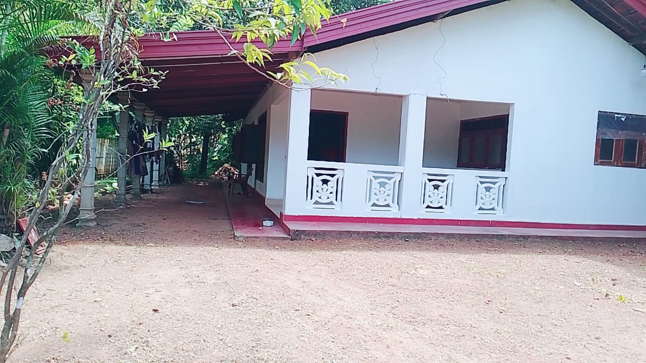 Property Image 8